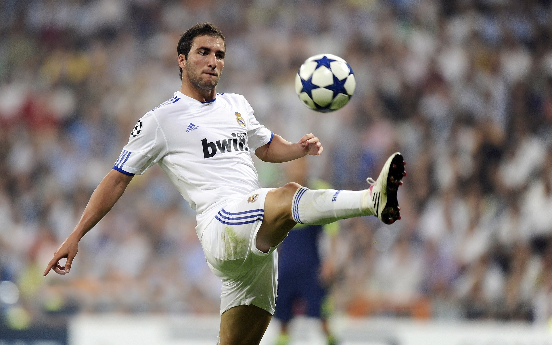 字母哥新星赛况扑朔迷离表现惊艳，西班牙队未来可期！