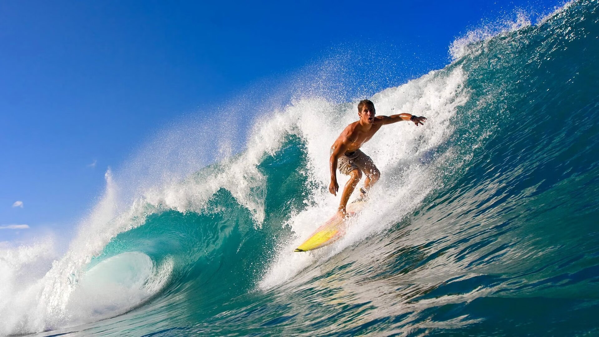 穆雷在美国队比赛中精彩发挥，精彩发挥引发热议！