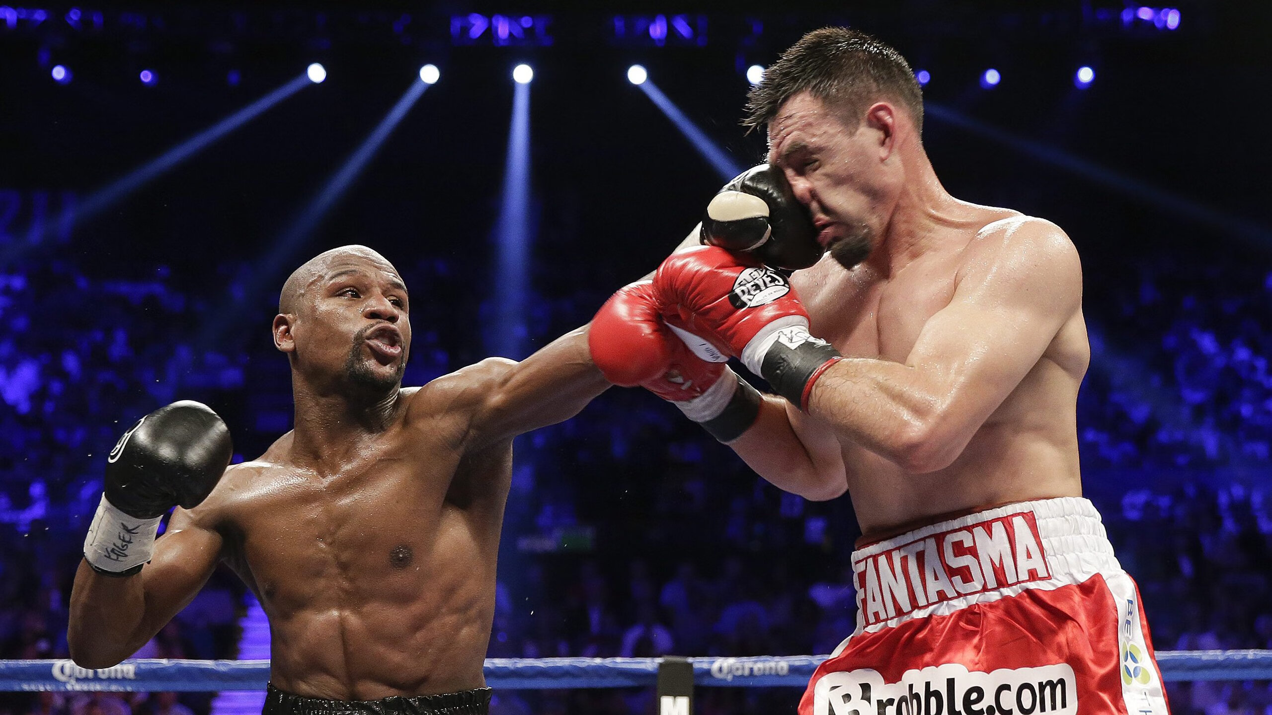 莎拉波娃新星败北表现惊艳，美国队未来可期！