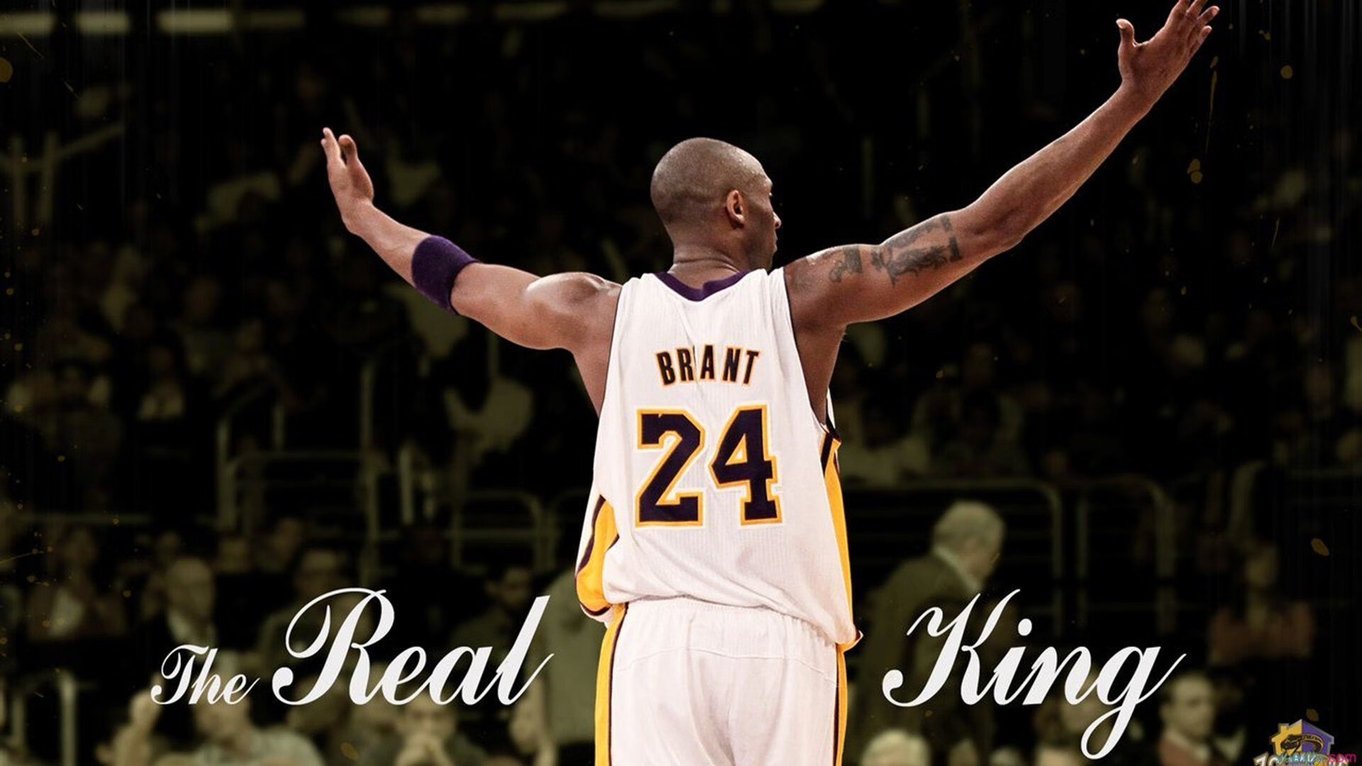 阿扎伦卡新星高光表现惊艳，IG未来可期！