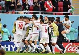 wwwmiaomicn最新新闻